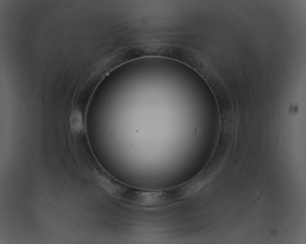 X0000093600089200710221556