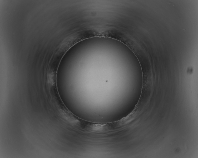 X0000093600090200710221556