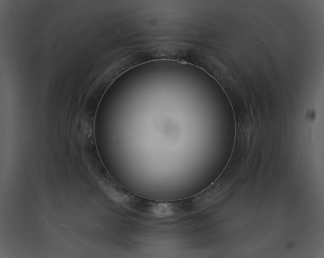 X0000093600091200710221556