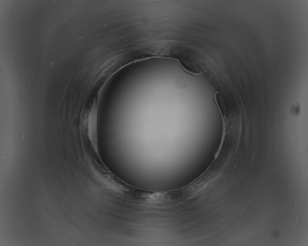 X0000093600092200710221556