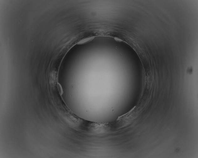 X0000093600093200710221556