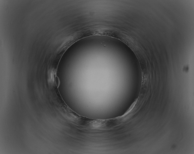 X0000093600094200710221556