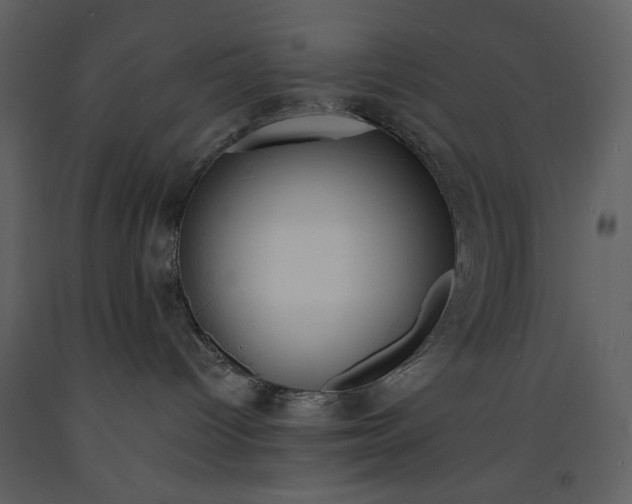 X0000093600096200710221556