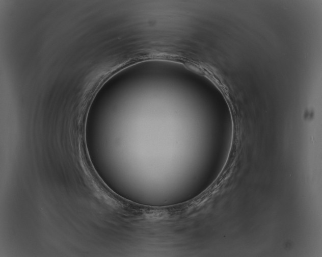 X0000093600097200710221555