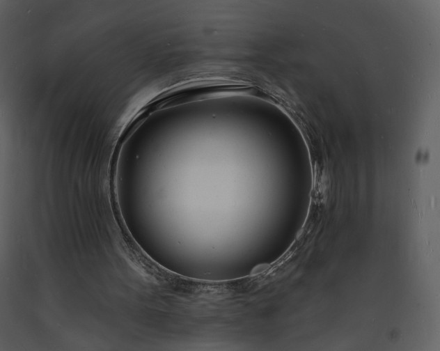 X0000093600099200710221555