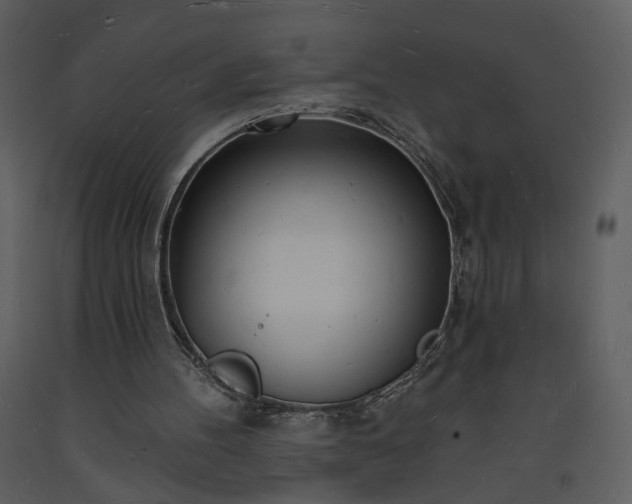 X0000093600100200710221555