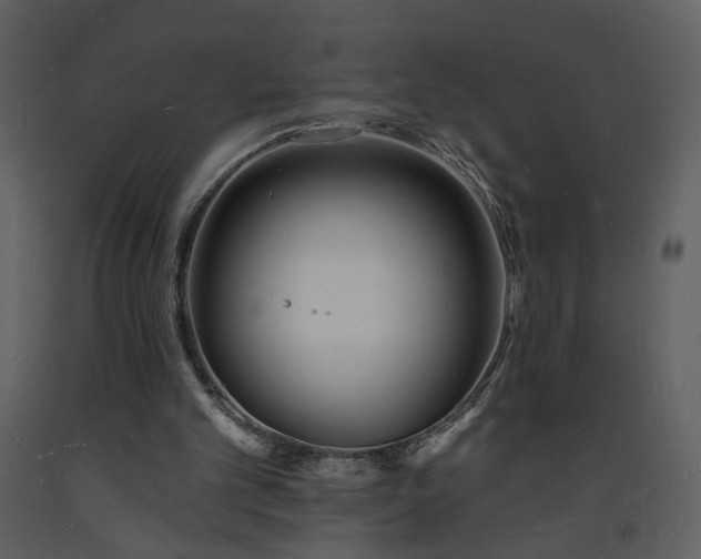 X0000093600101200710221555