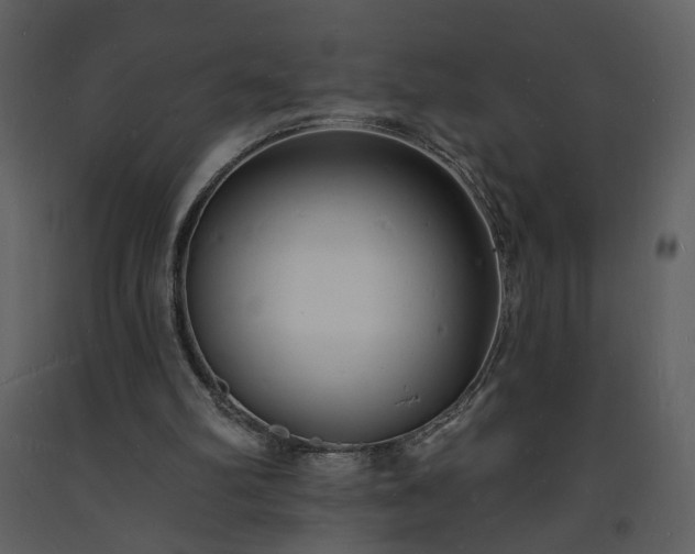 X0000093600102200710221555