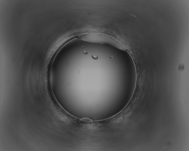 X0000093600103200710221555