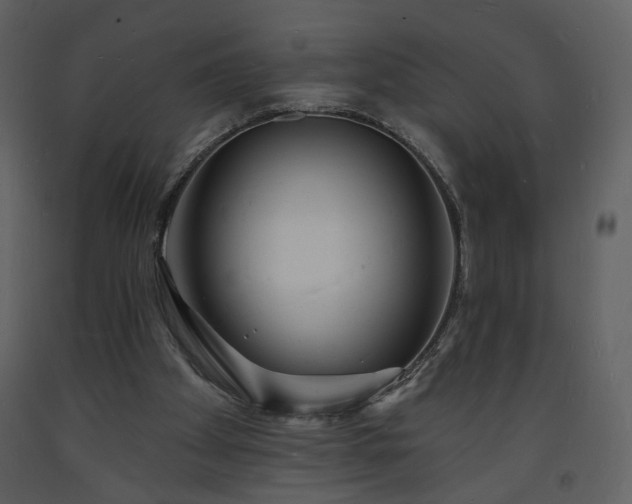 X0000093600105200710221555