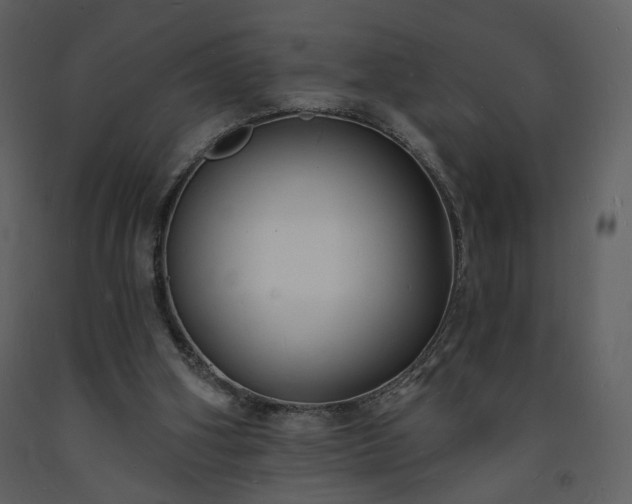 X0000093600106200710221555