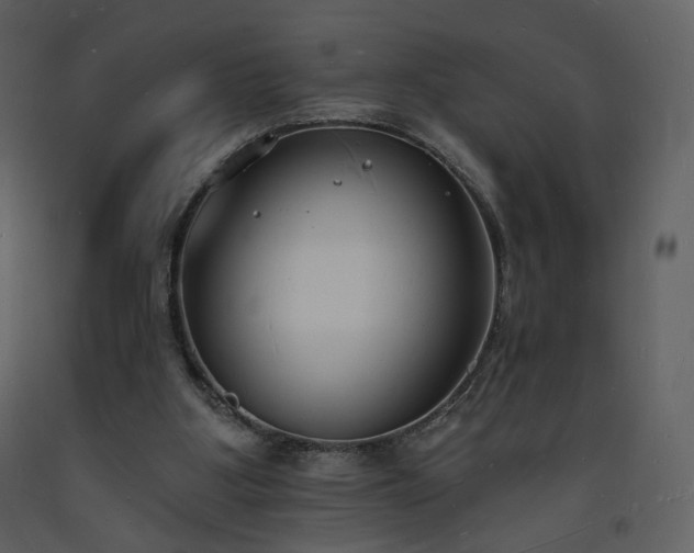 X0000093600107200710221555