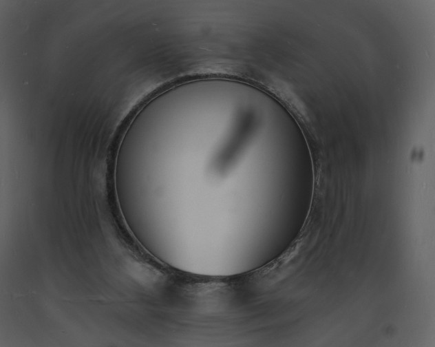 X0000093600108200710221555