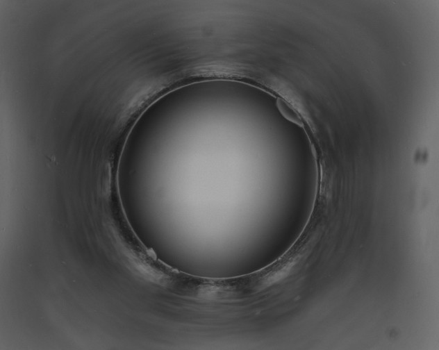 X0000093600109200710221555