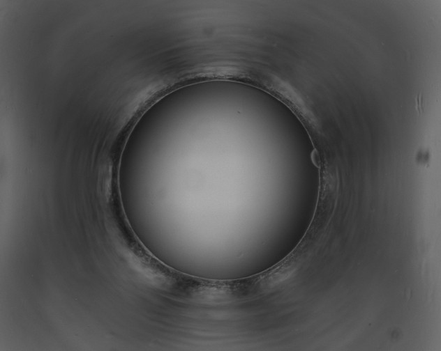 X0000093600110200710221555