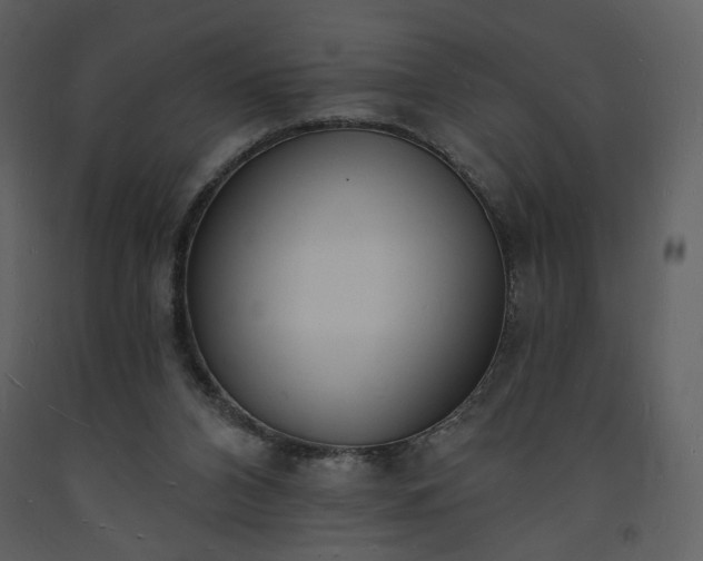 X0000093600112200710221555