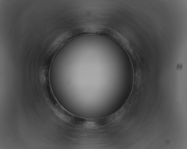 X0000093600114200710221555