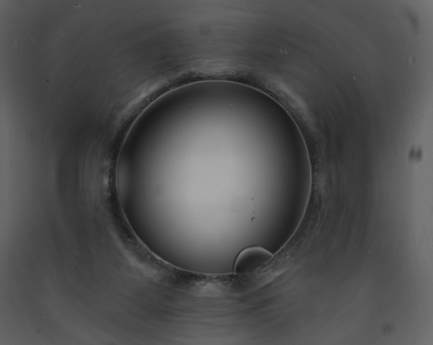 X0000093600115200710221555