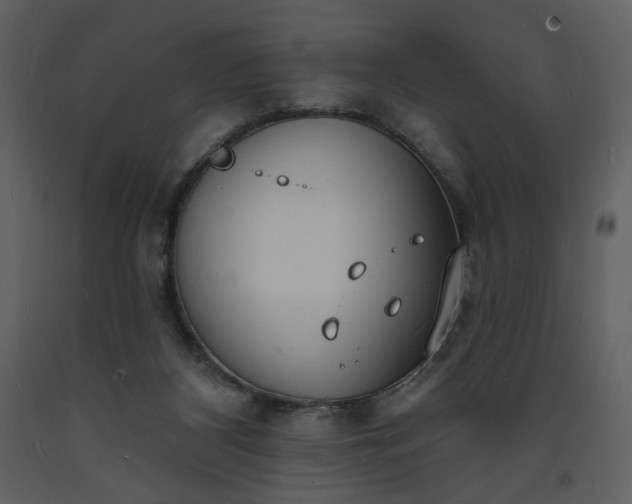 X0000093600116200710221555