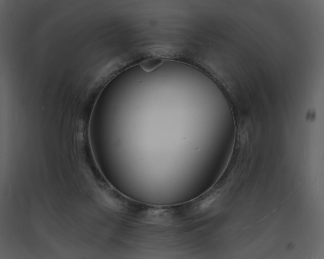 X0000093600117200710221555