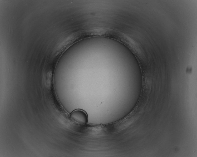 X0000093600118200710221555