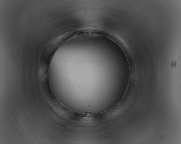 X0000093600119200710221555