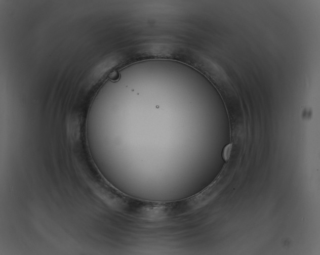 X0000093600120200710221555