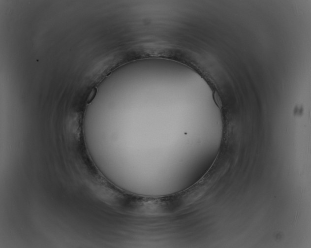 X0000093600121200710221555