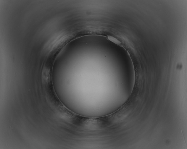 X0000093600123200710221555