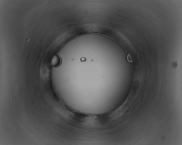 X0000093600124200710221555