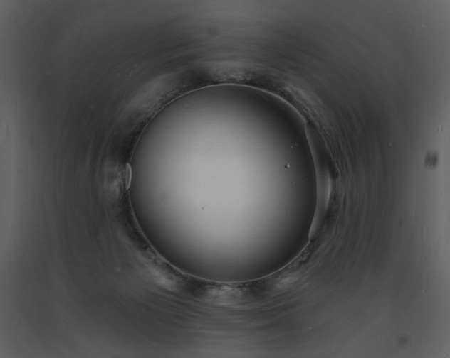 X0000093600125200710221555