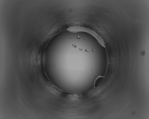 X0000093600131200710221555