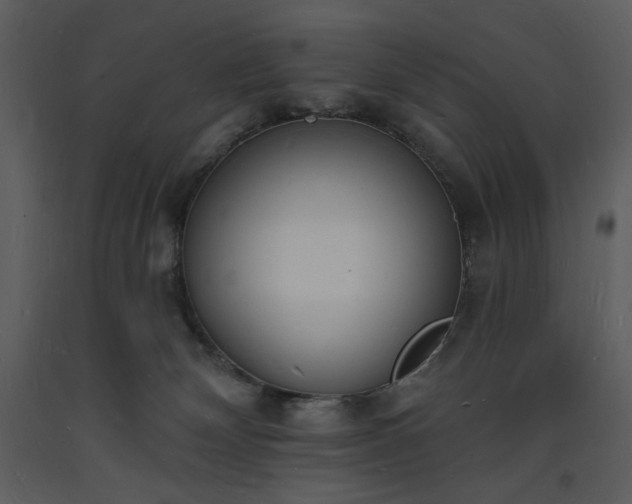 X0000093600132200710221555