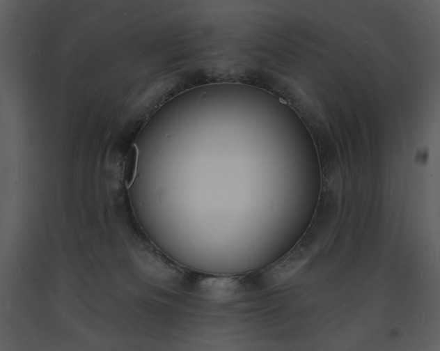 X0000093600133200710221555