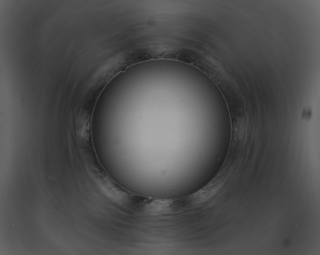 X0000093600138200710221555