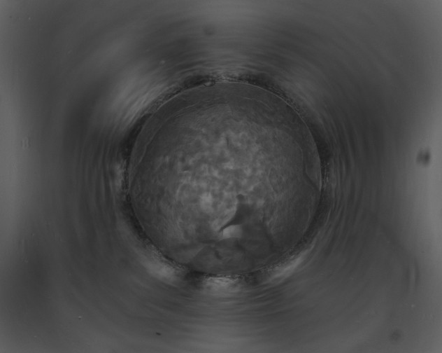 X0000093600139200710221555