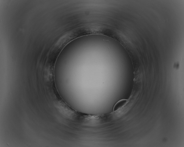 X0000093600140200710221555