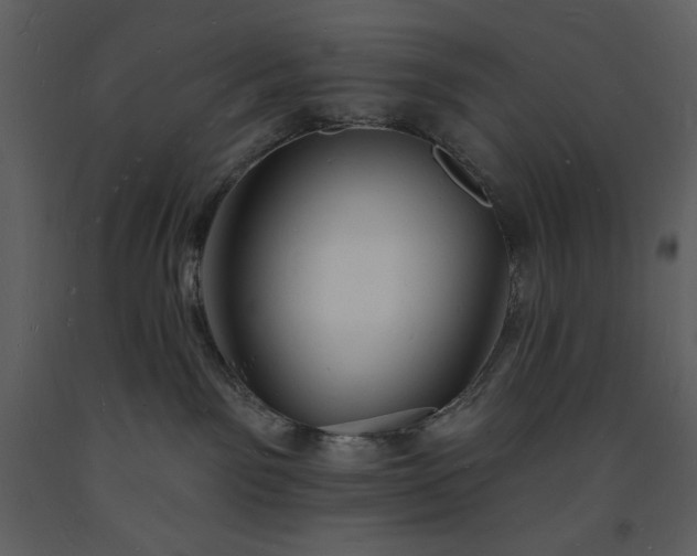 X0000093600141200710221555