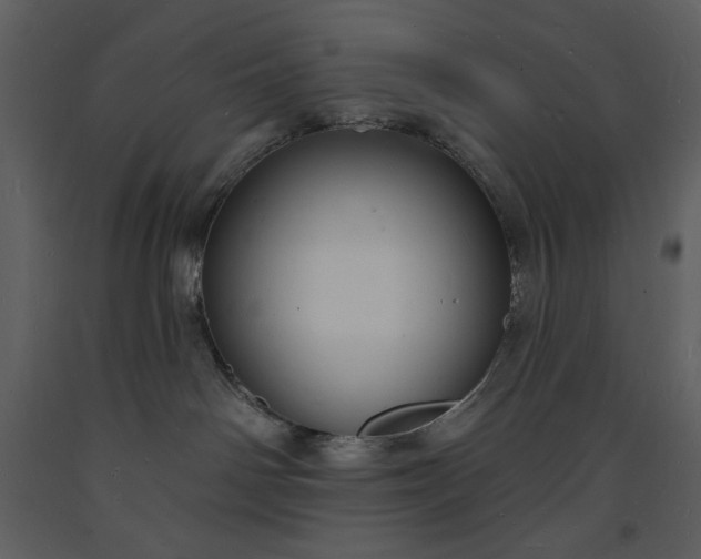 X0000093600142200710221555