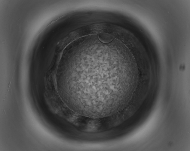 X0000093600143200710221555