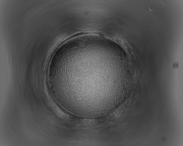 X0000093600145200710221554