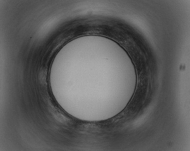 X0000093600146200710221554