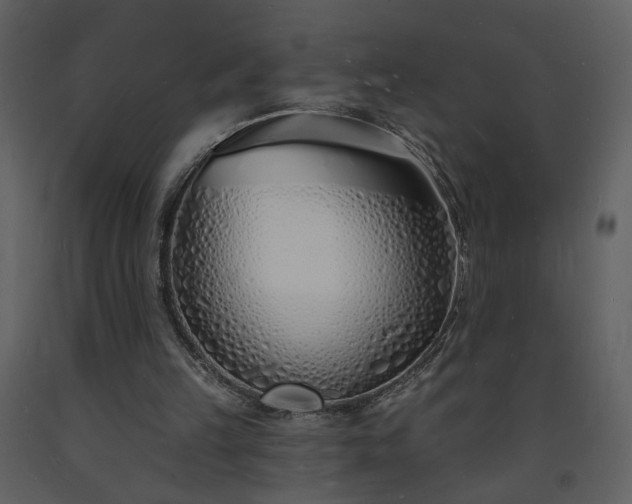 X0000093600149200710221554