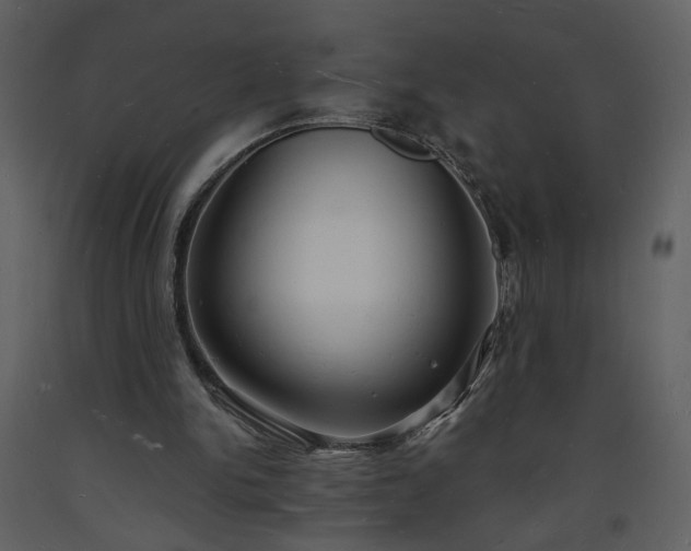 X0000093600150200710221554