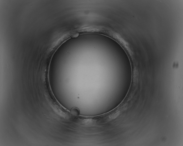 X0000093600153200710221554