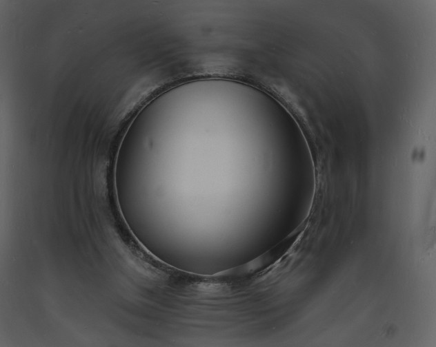 X0000093600154200710221554