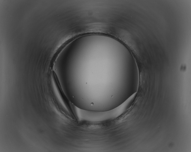 X0000093600156200710221554