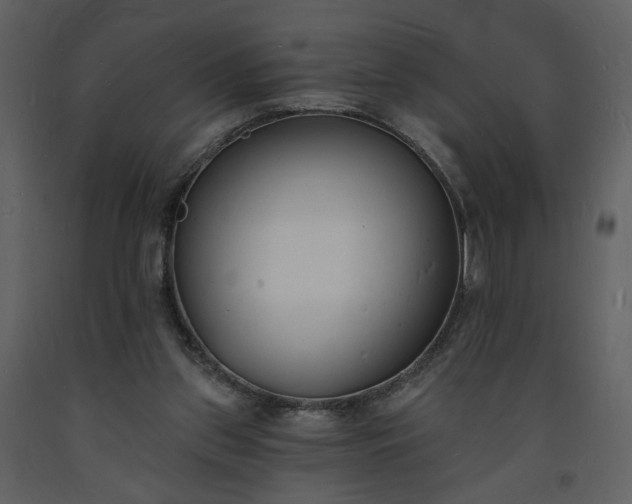 X0000093600157200710221554