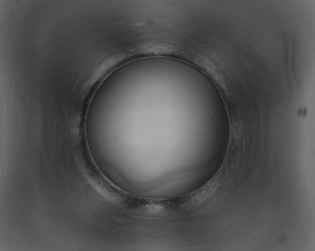 X0000093600159200710221554