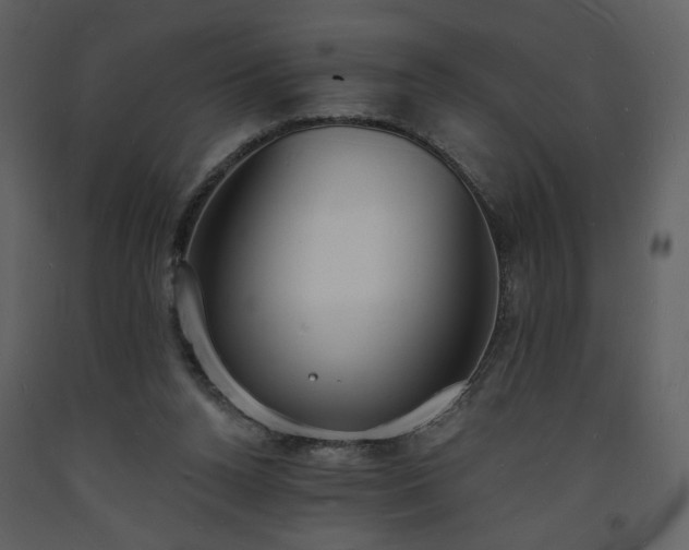 X0000093600160200710221554